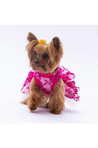 Pawstar Cat Dog Dress - Pink Rosa Outfit