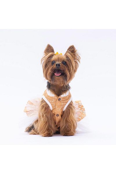 Pawstar Primavera Brown Cat Dog Dress - Outfit