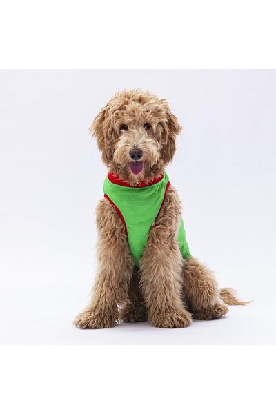 Pawstar Green Summer Time Large Dog T-Shirt - Dog Apparel (15 KG-45 KG)