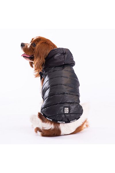 Pawstar Black Railway Anorak Vest Dog Vest Dog Outfit Dog Raincoat
