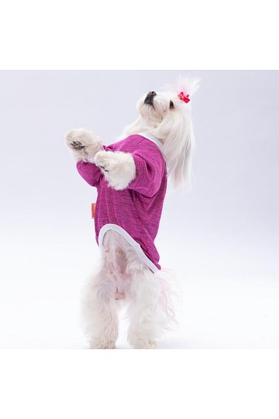 Pawstar Fuchsia Fun Day Cat Dog Sweatshirt - Cat Dog Outfit