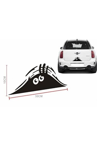 OTOMOR AKSESUAR Bagajdan Bakan Adam Etiket Sticker Araba 30x10cm