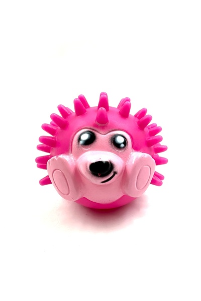 Tasma Market Sesli Kirpi Diş Kaşıyıcı Tartar Önleyici Köpek Oyun Topu Seti 2'li