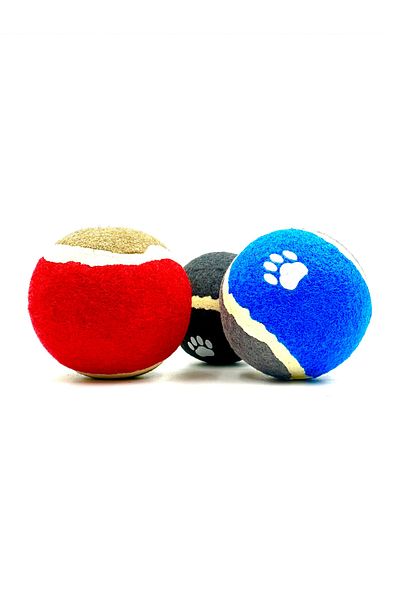 Tasma Market Set of 3 Tennis Dog Play Balls