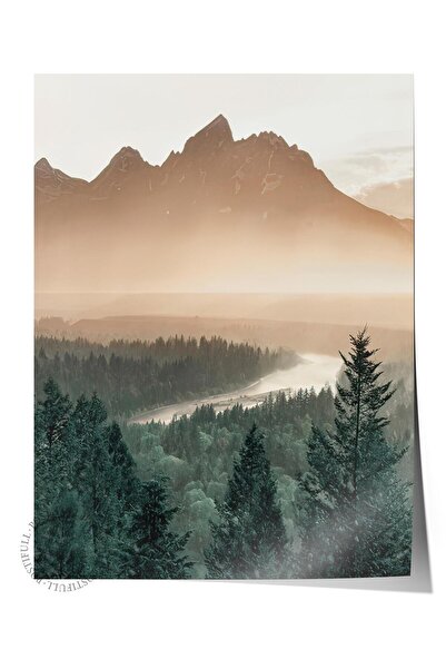 Postifull Poster Pine Tree Valley, poster de perete fără cadru, pictură verticală de perete Seria Comfort NR:108407