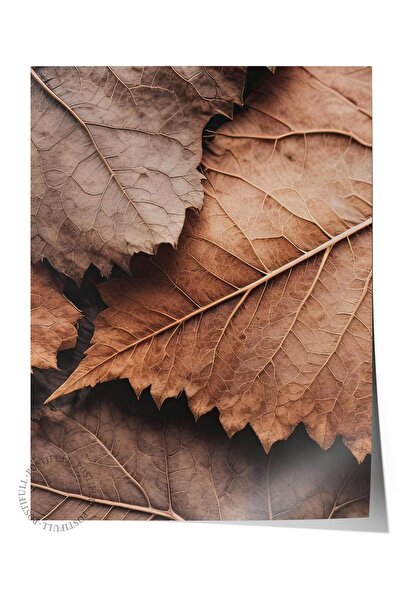 Postifull Poster sa smeđim lišćem, zidni poster bez okvira, vertikalna zidna ...