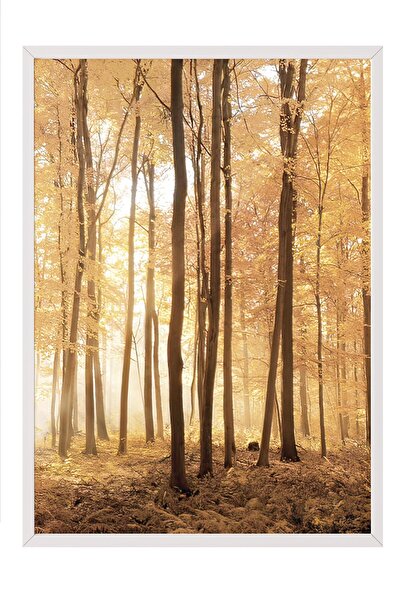 Postifull Tablou înrămat cu copaci de toamnă, cadru alb și poster, pictură verticală pe perete Seria Comfort NR:108347
