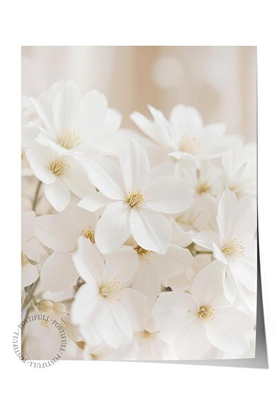 Postifull Soft White Bloom Poster, Çerçevesiz Duvar Posteri, Dikey Duvar Tabl...