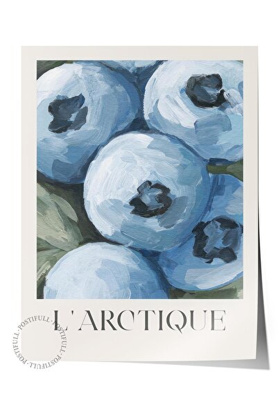 Postifull Постер „Арктика“, постер без рамка, вертикална стена, серия „Комфор...