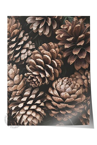 Postifull Poster cu conuri de pin, poster de perete fără cadru, pictură verti...