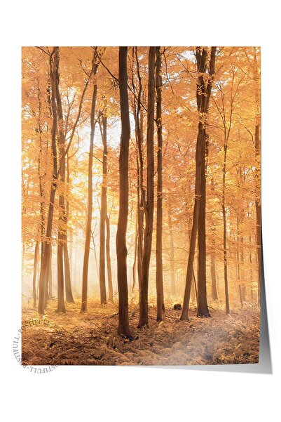 Postifull Poster cu copaci de toamnă, poster de perete fără cadru, pictură ve...