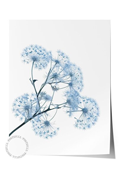 Postifull Αφίσα Blue Dandelion, Αφίσα τοίχου χωρίς πλαίσιο, Κάθετη ζωγραφική ...