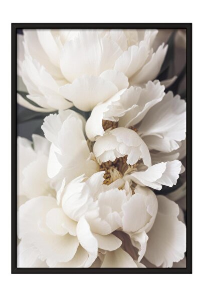 Postifull Peonies in Bloom Çerçeveli Tablo, Siyah Çerçeve ve Poster, Duvar Ta...