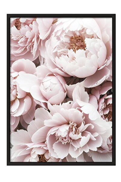 Postifull Pink Peony Dream Çerçeveli Tablo, Siyah Çerçeve ve Poster, Duvar Ta...