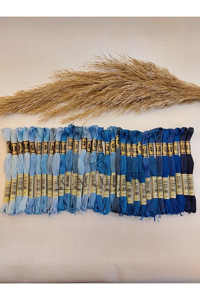 Dmc Muline Blue - 31 Colorful Thread Set