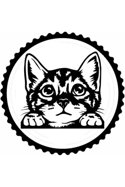 Kıvırcıkyoga Cat Facing Glass Design Sticker 30 X 30 cm