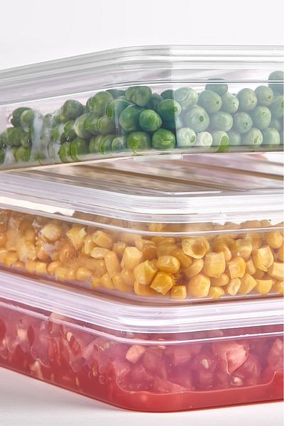 KOZART 2.4 Liter 4 Pieces Refrigerator - Freeze Garnish Corn Fish Leak Proof Storage Container