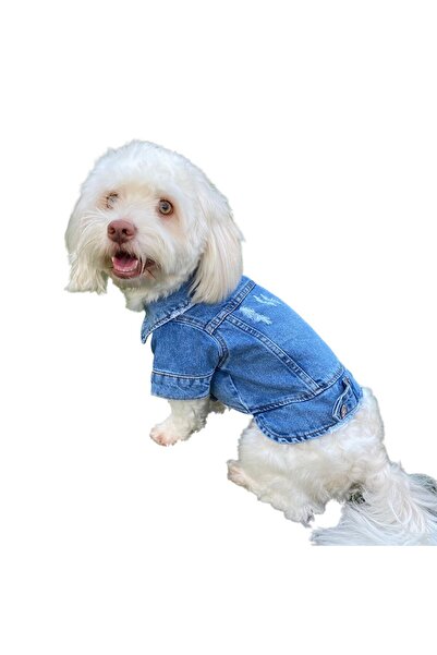 ZIGGYDOG Ceket Köpek Kot Kıyafetı