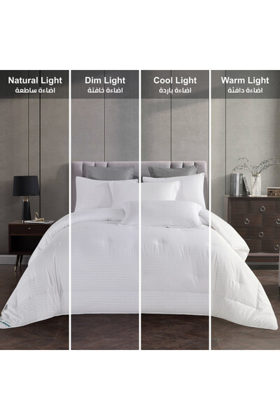 Donetella 6-Pcs King Size Striped Comforter 260x 240 cm With 350 GSM Filling