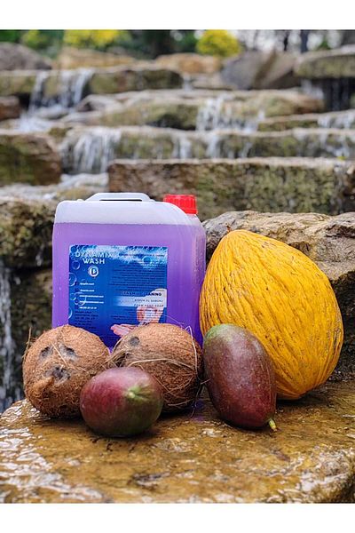 dynamix wash - Foam Hand Soap (for Foam Apparatus) 5kg - Fruit Fragrances