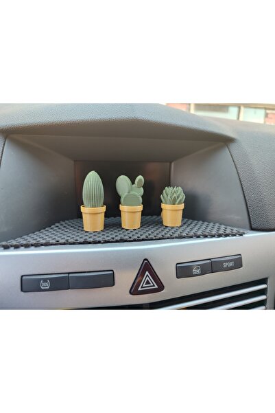 Minikbahcem Torpedo Ornament Cactus - 3-Piece Automobile Succulent Product