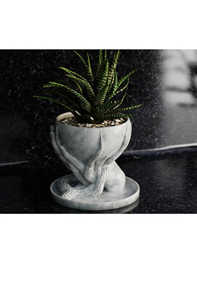 HOM Mermer Görünümlü Dekoratif Saksı