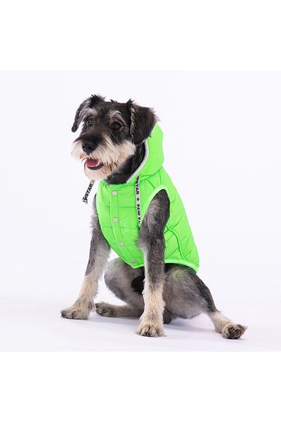 Pawstar Neon Green Railway Anorak Vest Dog Vest Dog Outfit Dog Raincoat
