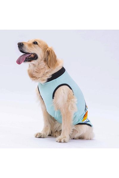 Pawstar Mint Sunrise Big Dog T-Shirt - 15 KG-45 KG Outfit