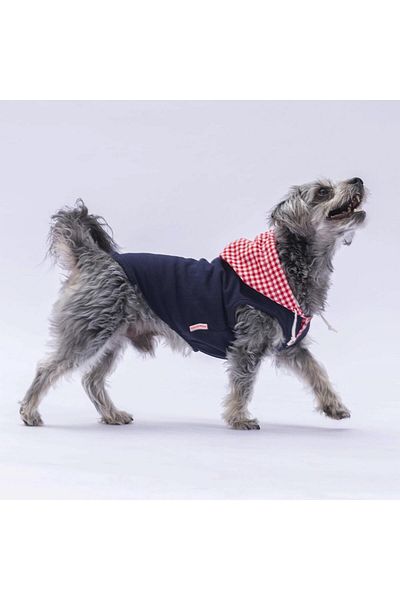 Pawstar Cat Dog Navy Gingham T-Shirt - Hoodie and Outfit