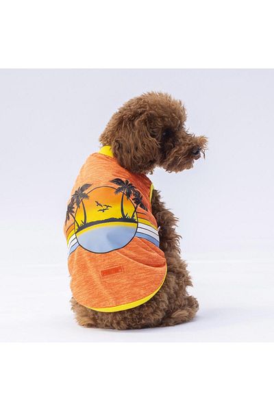 Pawstar Orange Sunrise Cat Dog T-Shirt - Cat Dog Outfit