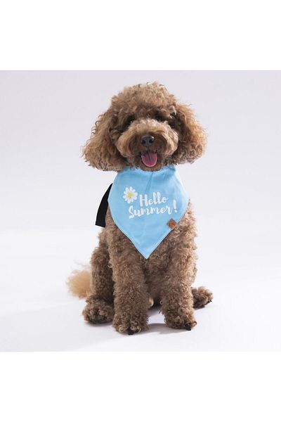 Pawstar Hello Summer!Cat Dog Scarf Pet Bandana