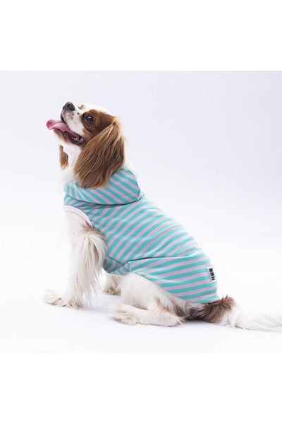 Pawstar Aqua Sunny Cat Dog Hooded T-Shirt - Clothes Design