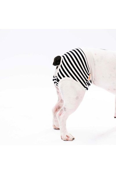Pawstar Striped Cat-Dog Laundry Menstrual Weight (3 Pack)
