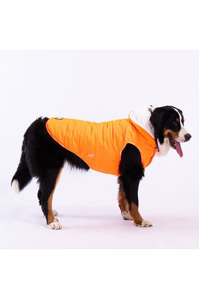 Pawstar Neon Orange Railway Anorak Dog Vest for Medium and Large Breeds Dog Apparel Dog Raincoat