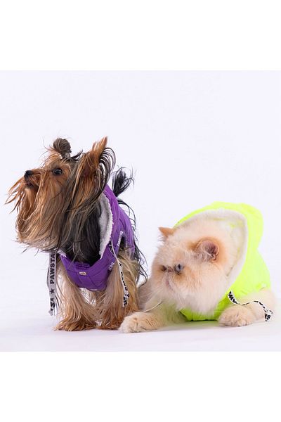 Pawstar Purple Railway Anorak Vest Dog Vest Dog Outfit Dog Raincoat