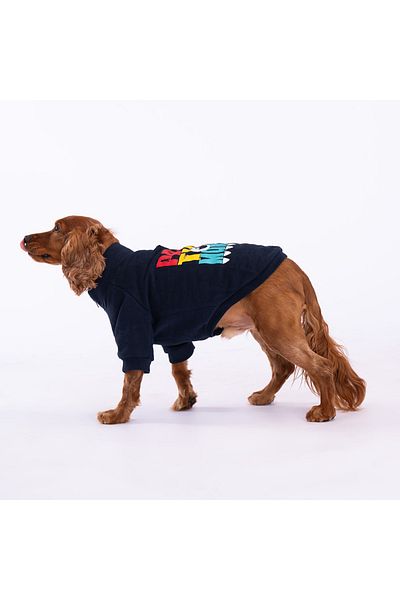 Pawstar Navy Blue Monster Cat Dog Jacket Cat Dog Outfit Cat Dog Dress