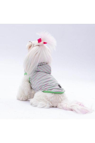 Pawstar Mint Sunny Cat Dog Hooded T-Shirt - Clothes Design