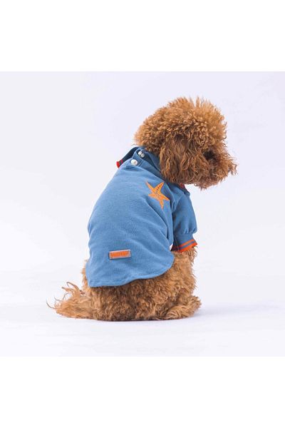 Pawstar Polo Collar Blue Marine Cat Dog T-Shirt - Outfit