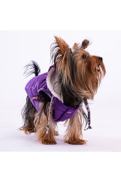 Pawstar Purple Railway Anorak Vest Dog Vest Dog Outfit Dog Raincoat