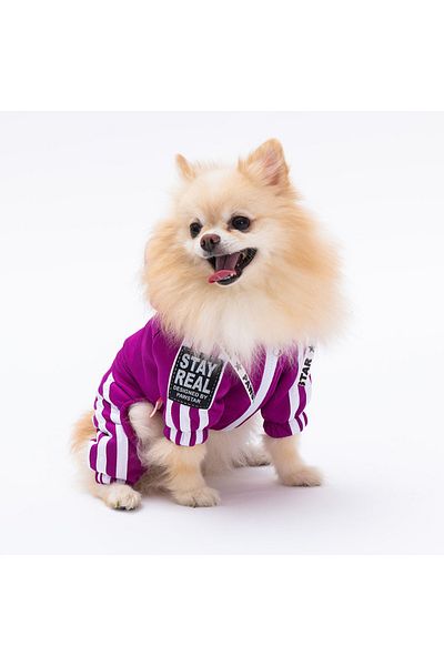 Pawstar Purple Tuta Small Breed Dog Jumpsuit Dog Outfit Dog Tracksuit Cat Outfit