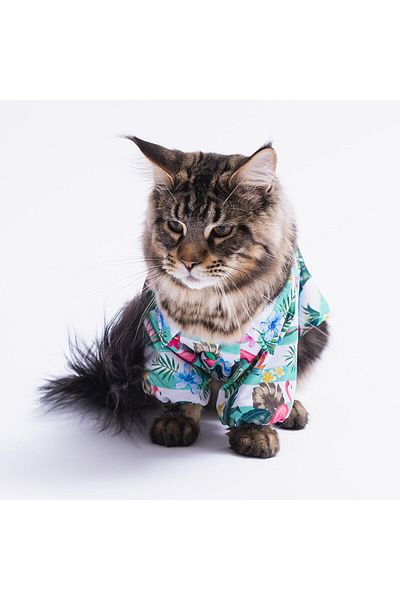 Pawstar Hawaiian Cat Dog Shirt - Cat Dog Outfit