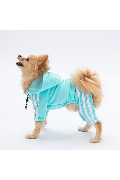 Pawstar Water Green (Aqua) Tuta Small Breed Dog Jumpsuit Dog Outfit Dog Tracksuit Cat Outfit