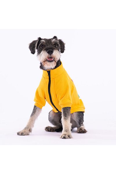 Pawstar Yellow Monster Cat Dog Jacket Cat Dog Outfit Cat Dog Dress