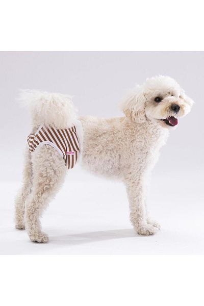 Pawstar Striped Cat-Dog Laundry Menstrual Weight (3 Pack)