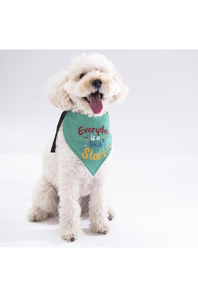 Pawstar Everyday Cat Dog Scarf Pet Bandana