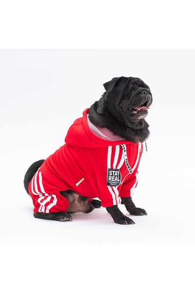Pawstar Dark Red Tuta Small Breed Dog Jumpsuit Dog Outfit Dog Tracksuit Cat Outfit