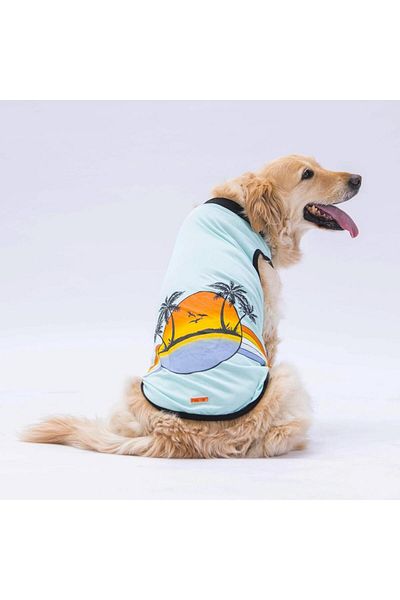 Pawstar Mint Sunrise Big Dog T-Shirt - 15 KG-45 KG Outfit