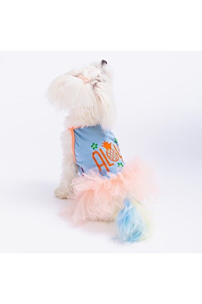 Pawstar Mavi Aloha Kedi Köpek Elbisesi - Kedi Köpek Kıyafeti