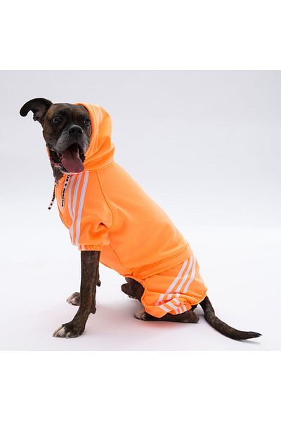 Pawstar Orange Tuta Medium and Large Breed Dog Jumpsuit Dog Outfit