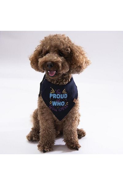 Pawstar Proud Cat Pet Bandana - Dog Scarf